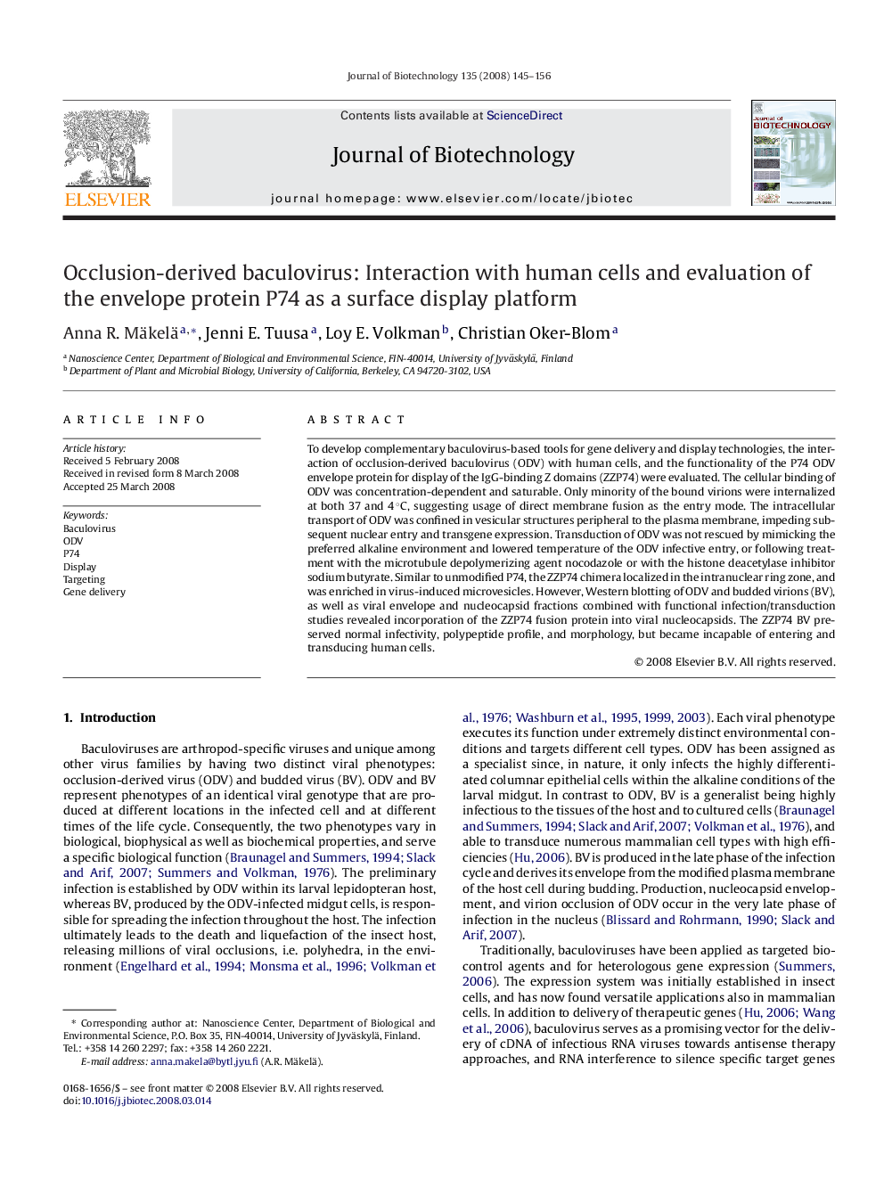 Occlusion-derived baculovirus: Interaction with human cells and evaluation of the envelope protein P74 as a surface display platform