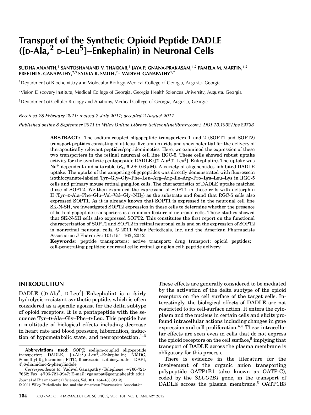 Transport of the Synthetic Opioid Peptide DADLE ([d-Ala2,d-Leu5]-Enkephalin) in Neuronal Cells