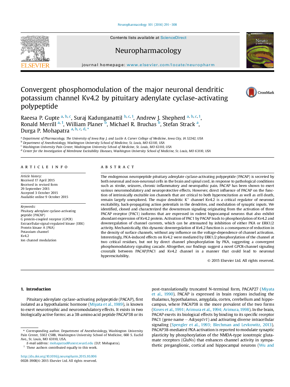 Convergent phosphomodulation of the major neuronal dendritic potassium channel Kv4.2 by pituitary adenylate cyclase-activating polypeptide