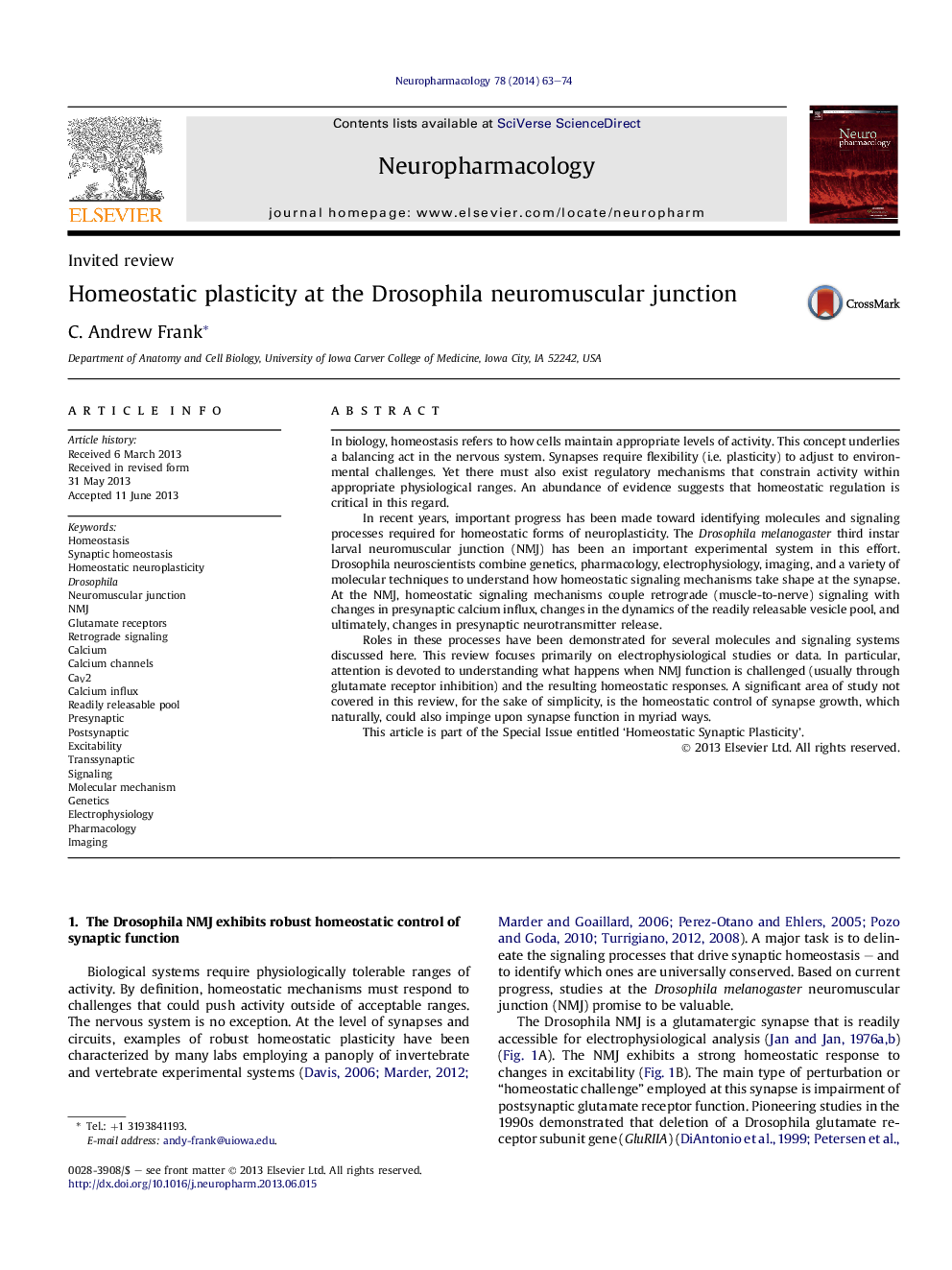 Homeostatic plasticity at the Drosophila neuromuscular junction