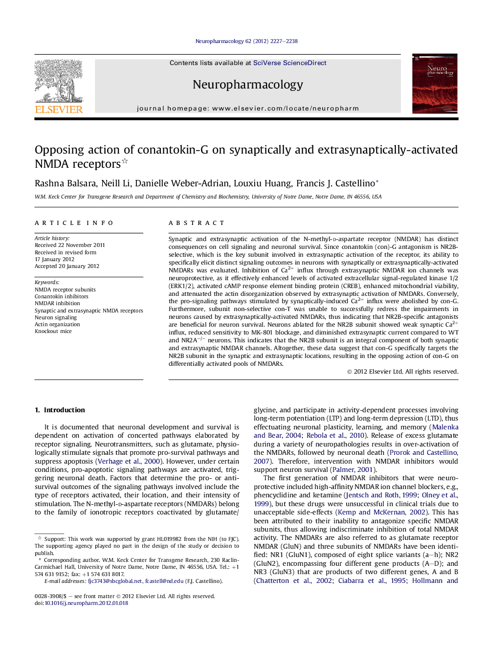 Opposing action of conantokin-G on synaptically and extrasynaptically-activated NMDA receptors 