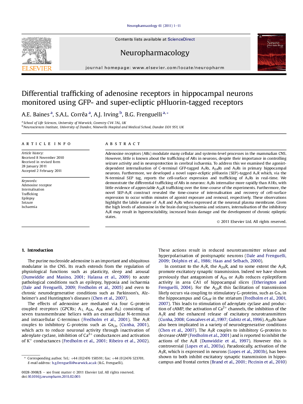 Differential trafficking of adenosine receptors in hippocampal neurons monitored using GFP- and super-ecliptic pHluorin-tagged receptors