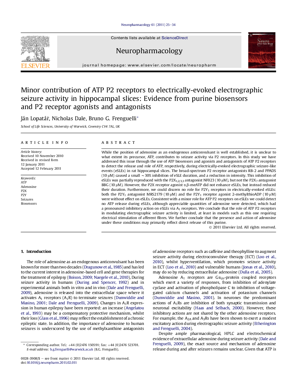 Minor contribution of ATP P2 receptors to electrically-evoked electrographic seizure activity in hippocampal slices: Evidence from purine biosensors and P2 receptor agonists and antagonists