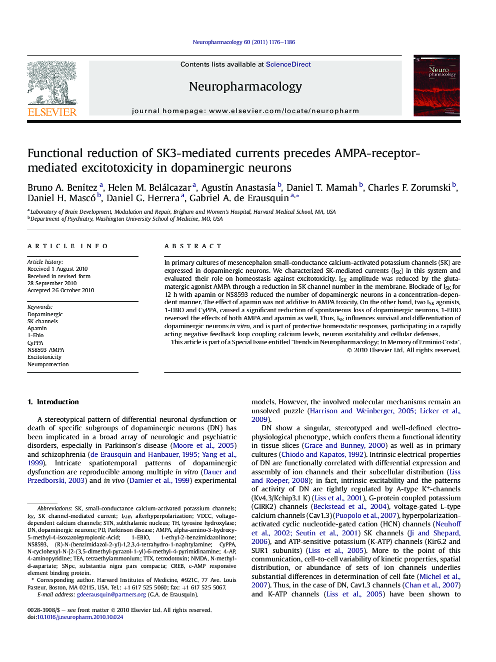 Functional reduction of SK3-mediated currents precedes AMPA-receptor-mediated excitotoxicity in dopaminergic neurons