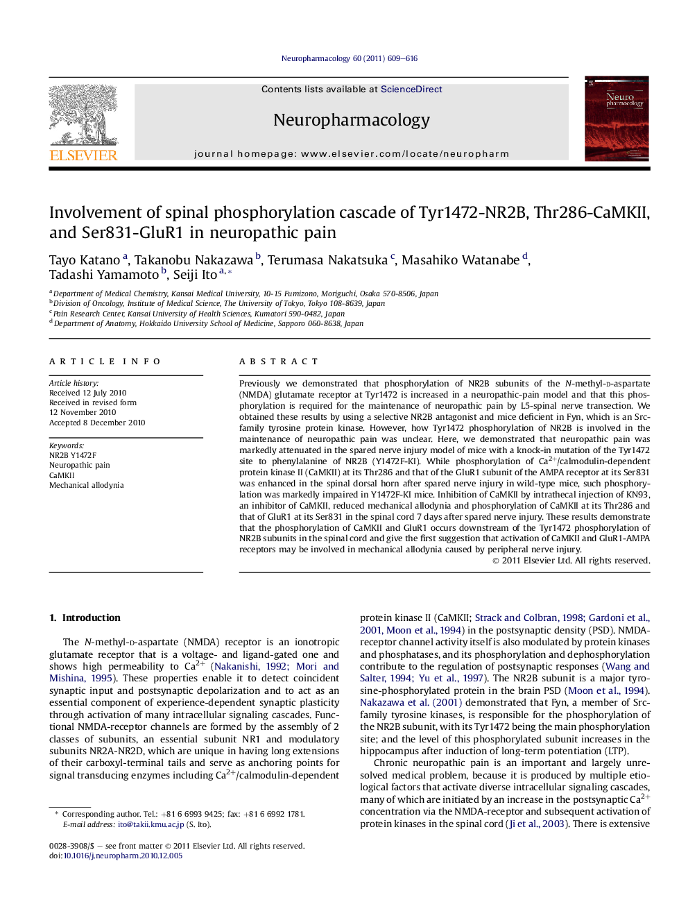 Involvement of spinal phosphorylation cascade of Tyr1472-NR2B, Thr286-CaMKII, and Ser831-GluR1 in neuropathic pain