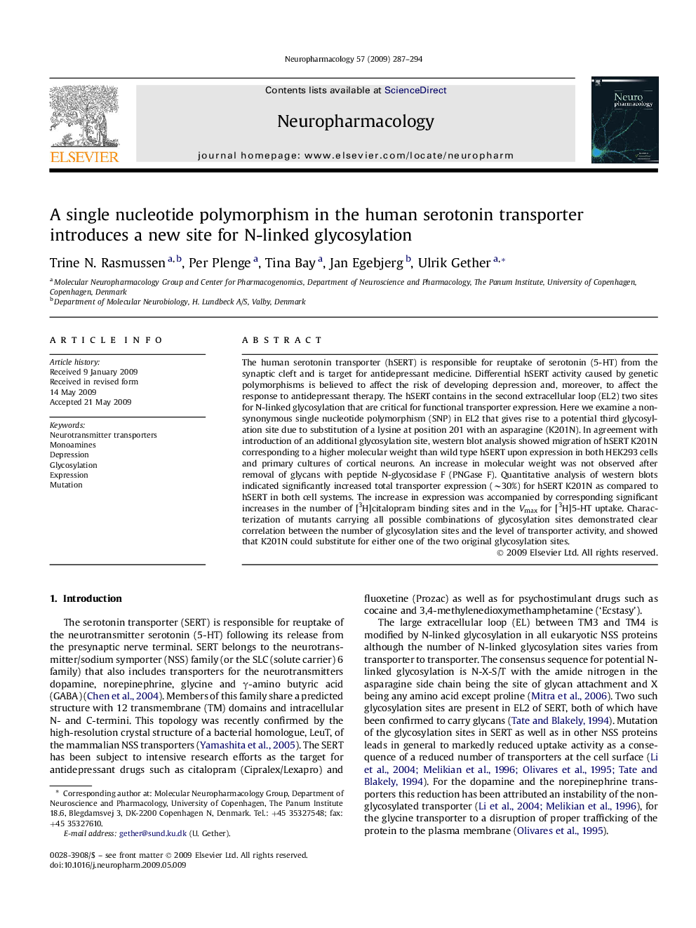 A single nucleotide polymorphism in the human serotonin transporter introduces a new site for N-linked glycosylation