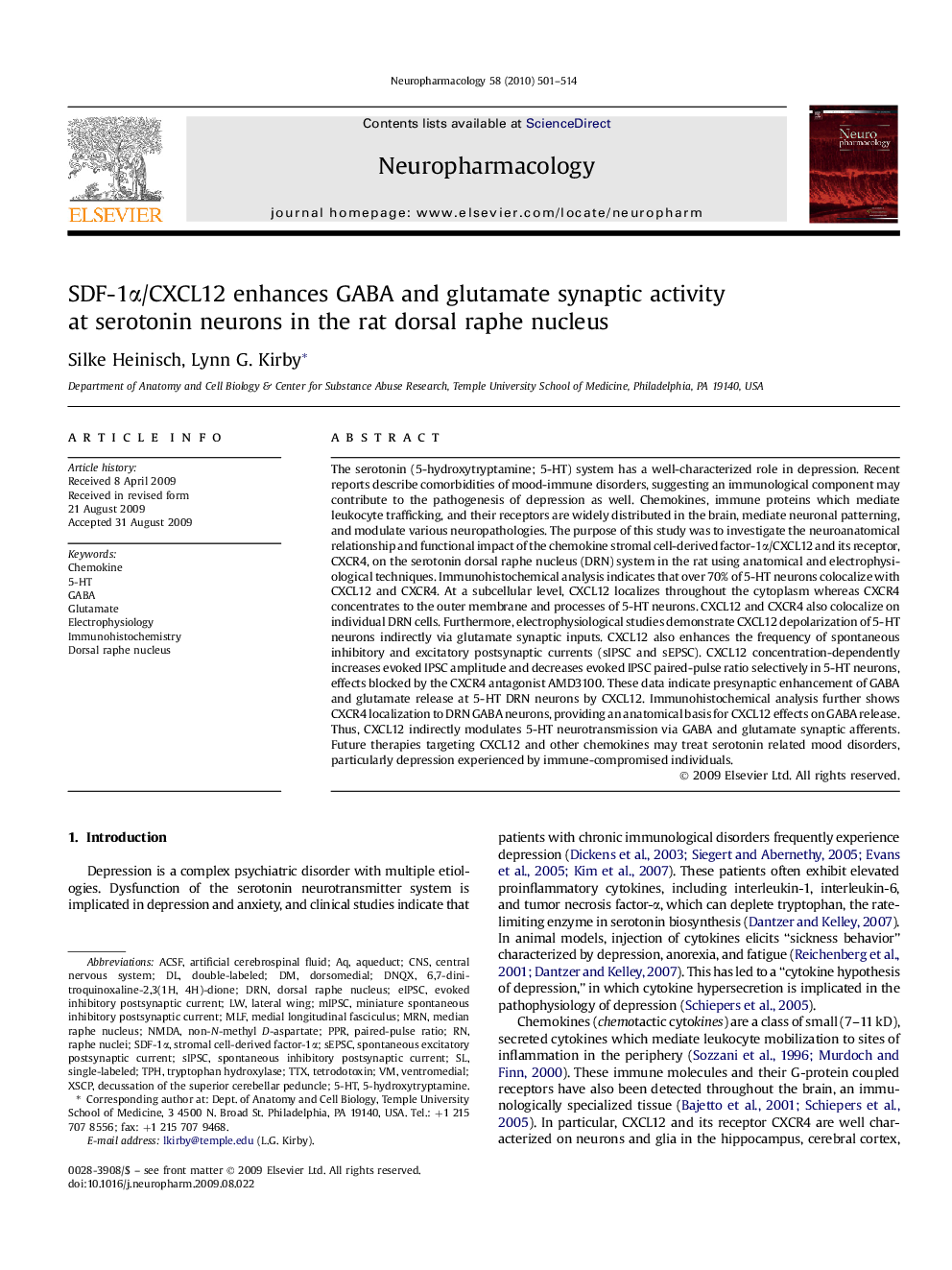 SDF-1α/CXCL12 enhances GABA and glutamate synaptic activity at serotonin neurons in the rat dorsal raphe nucleus