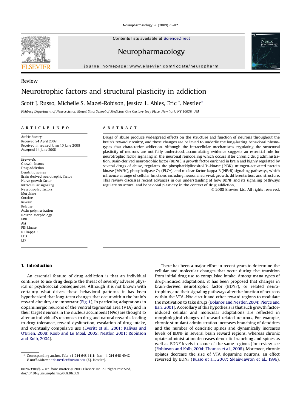 Neurotrophic factors and structural plasticity in addiction