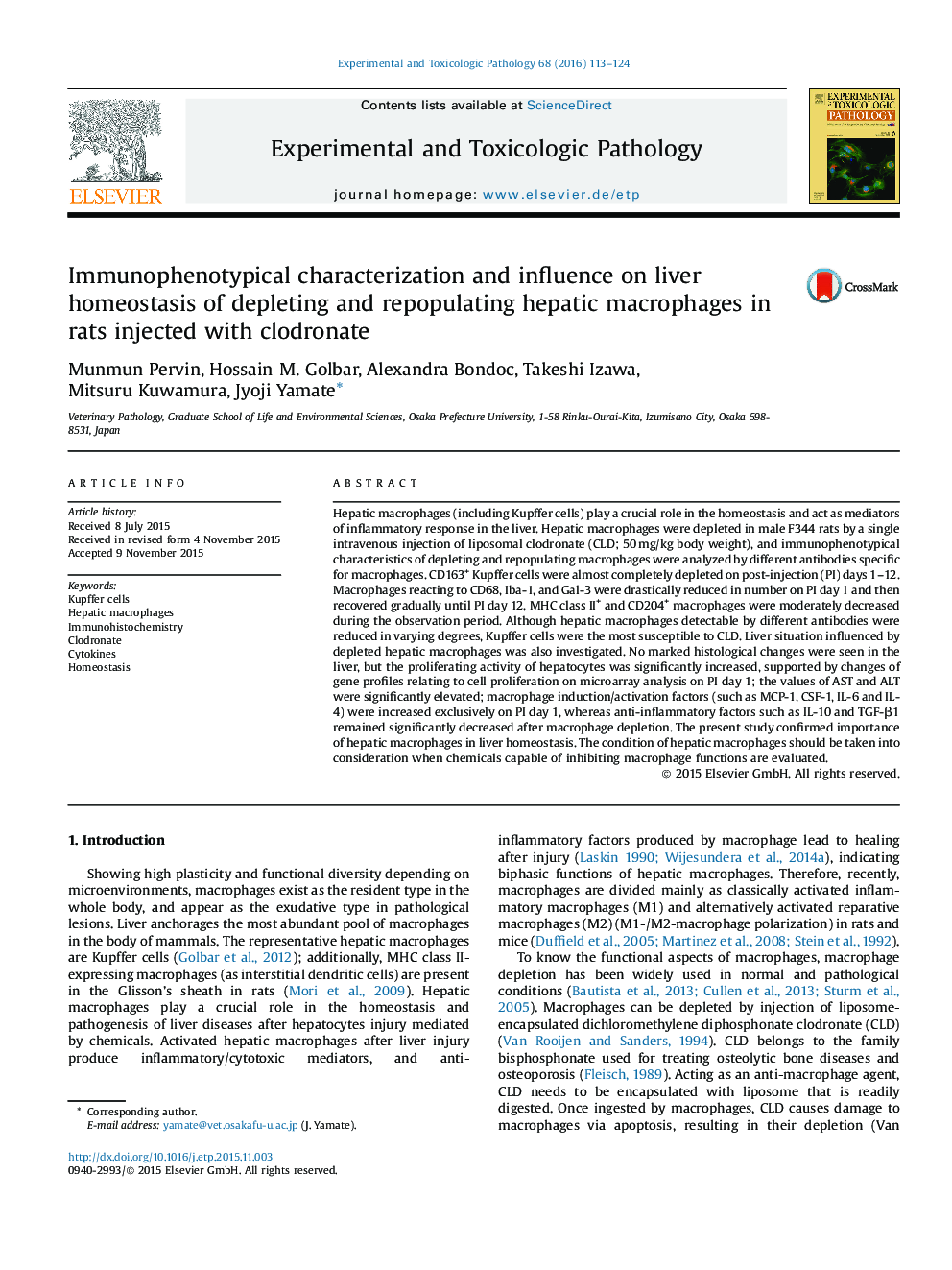 Immunophenotypical characterization and influence on liver homeostasis of depleting and repopulating hepatic macrophages in rats injected with clodronate