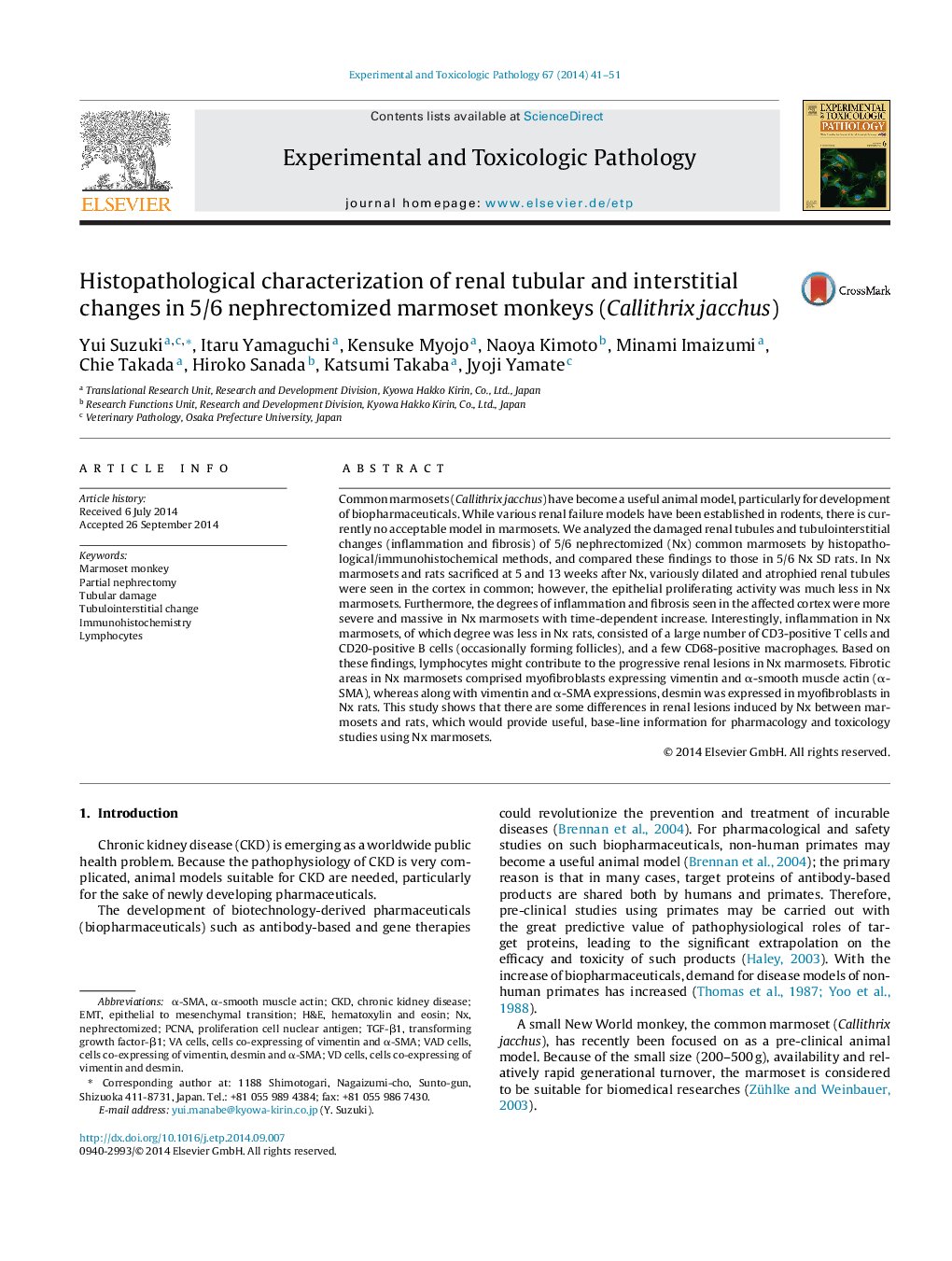 Histopathological characterization of renal tubular and interstitial changes in 5/6 nephrectomized marmoset monkeys (Callithrix jacchus)