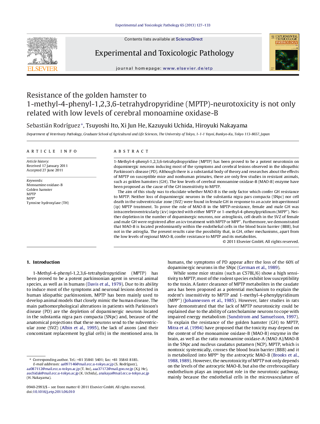 Resistance of the golden hamster to 1-methyl-4-phenyl-1,2,3,6-tetrahydropyridine (MPTP)-neurotoxicity is not only related with low levels of cerebral monoamine oxidase-B