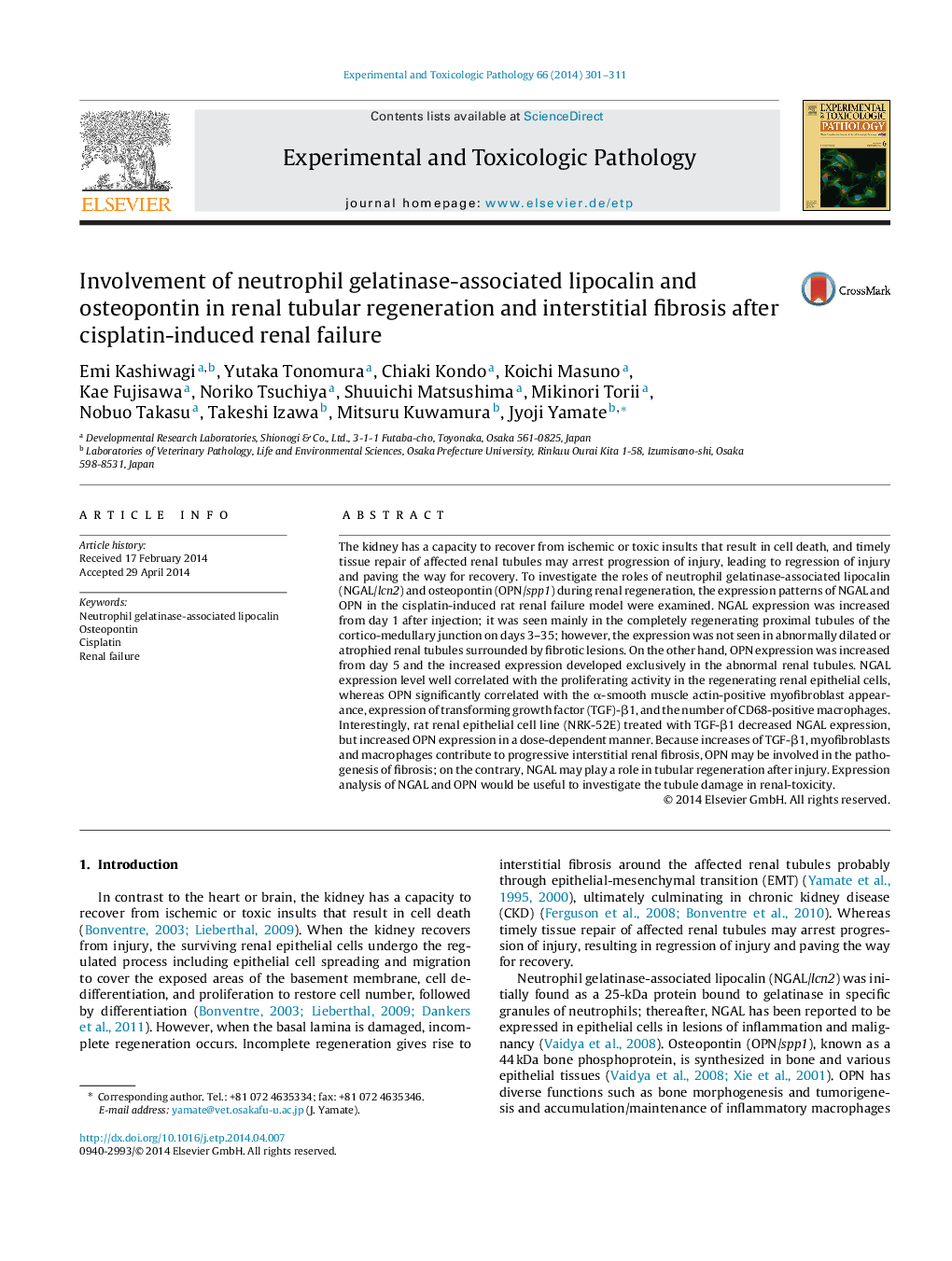 Involvement of neutrophil gelatinase-associated lipocalin and osteopontin in renal tubular regeneration and interstitial fibrosis after cisplatin-induced renal failure