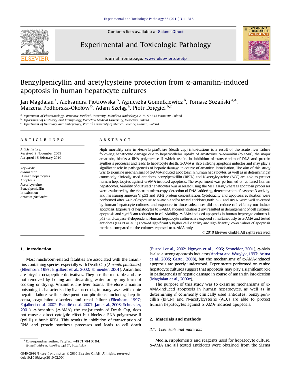 Benzylpenicyllin and acetylcysteine protection from α-amanitin-induced apoptosis in human hepatocyte cultures