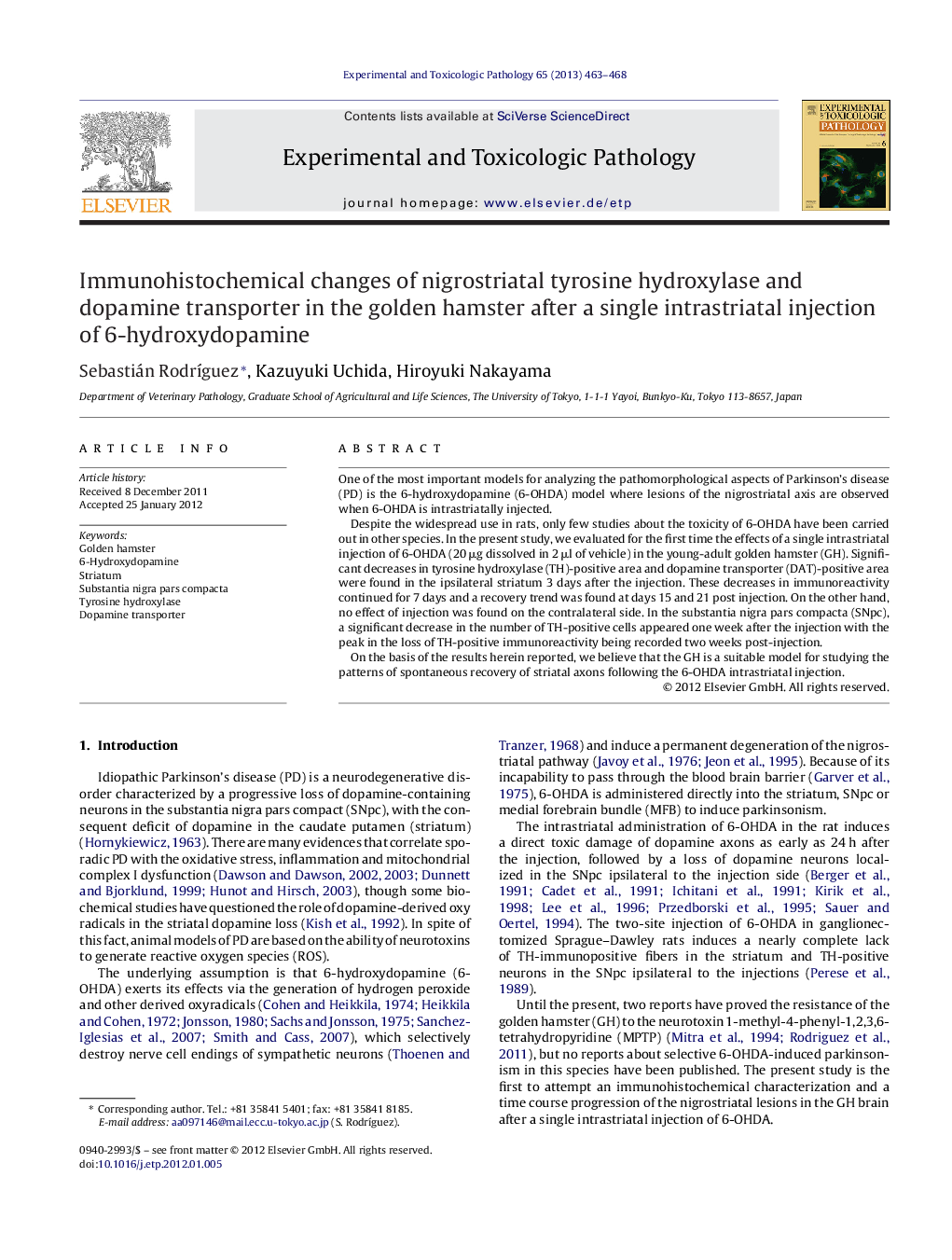 Immunohistochemical changes of nigrostriatal tyrosine hydroxylase and dopamine transporter in the golden hamster after a single intrastriatal injection of 6-hydroxydopamine