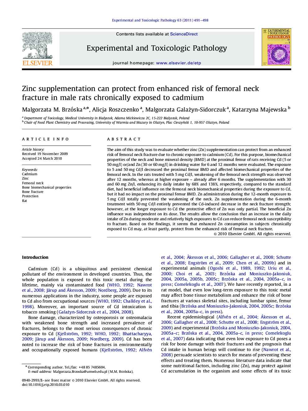 Zinc supplementation can protect from enhanced risk of femoral neck fracture in male rats chronically exposed to cadmium