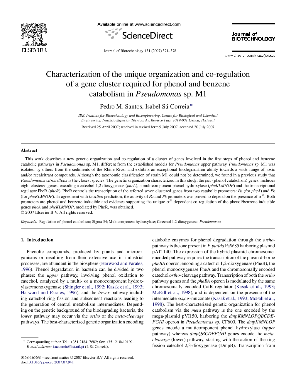 Characterization of the unique organization and co-regulation of a gene cluster required for phenol and benzene catabolism in Pseudomonas sp. M1