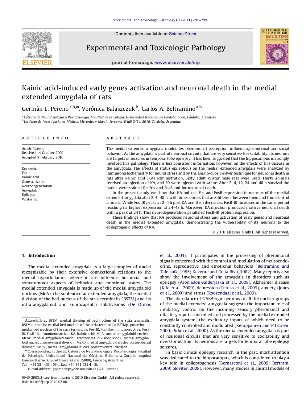 Kainic acid-induced early genes activation and neuronal death in the medial extended amygdala of rats