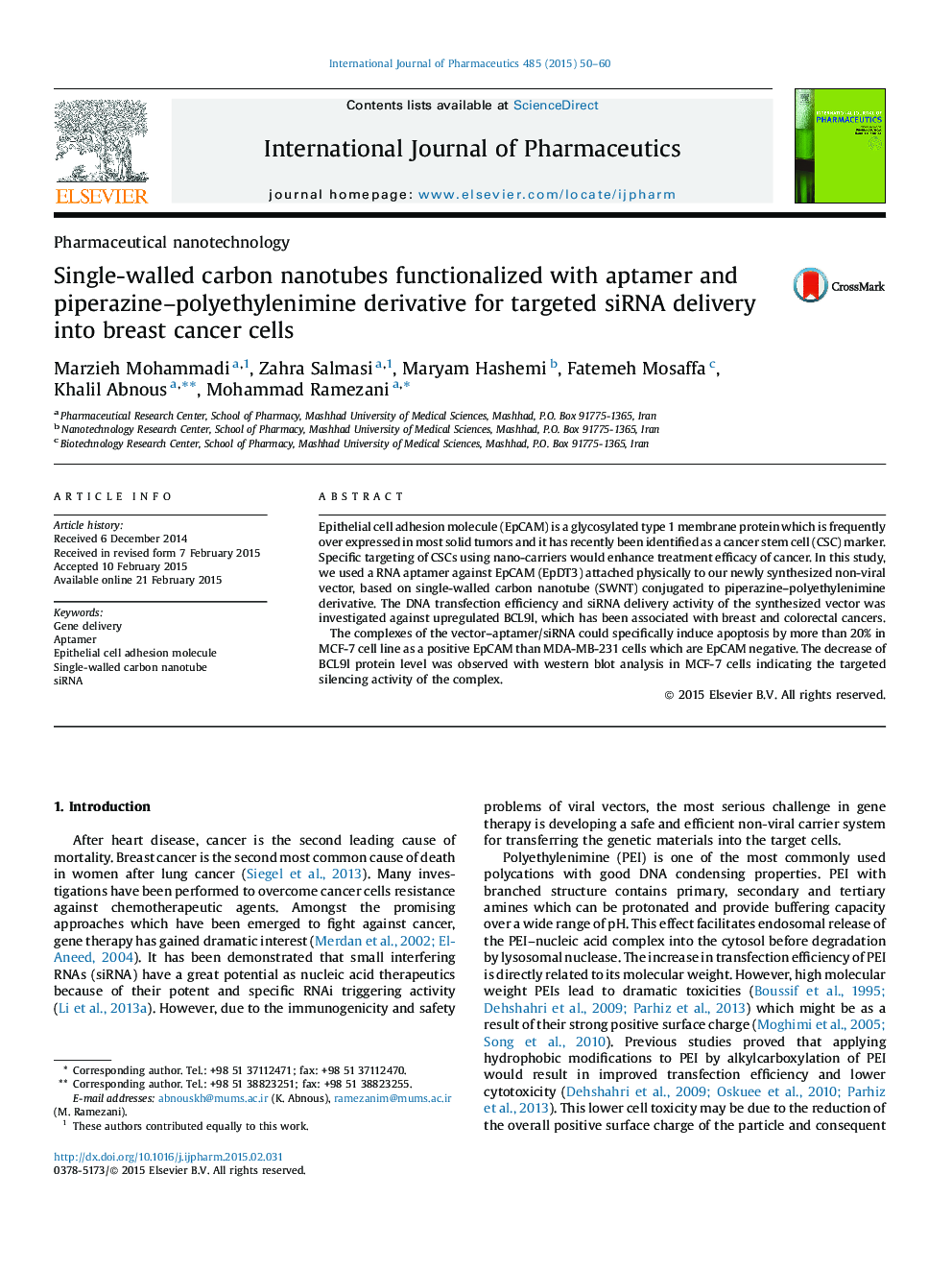 Single-walled carbon nanotubes functionalized with aptamer and piperazine–polyethylenimine derivative for targeted siRNA delivery into breast cancer cells