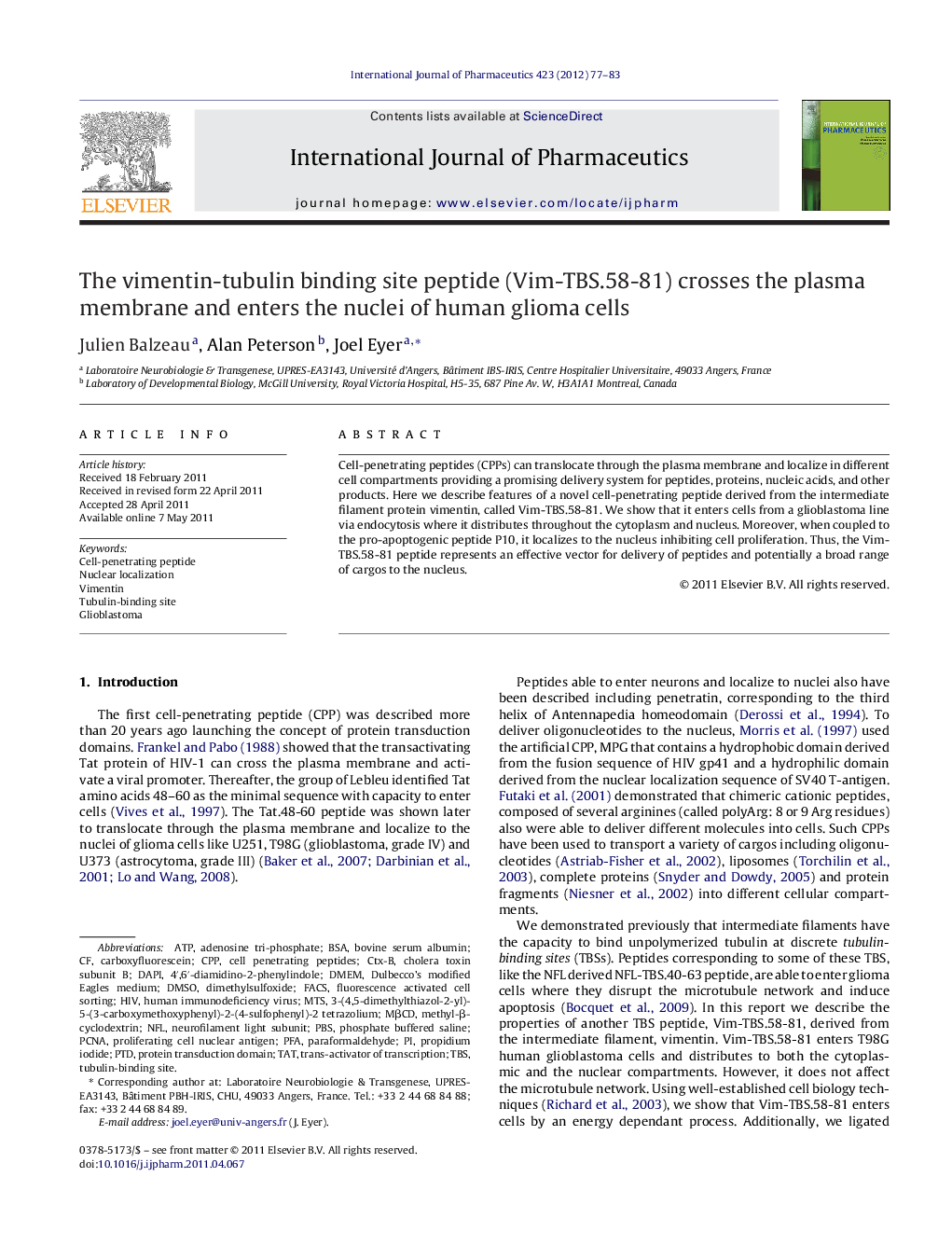 The vimentin-tubulin binding site peptide (Vim-TBS.58-81) crosses the plasma membrane and enters the nuclei of human glioma cells