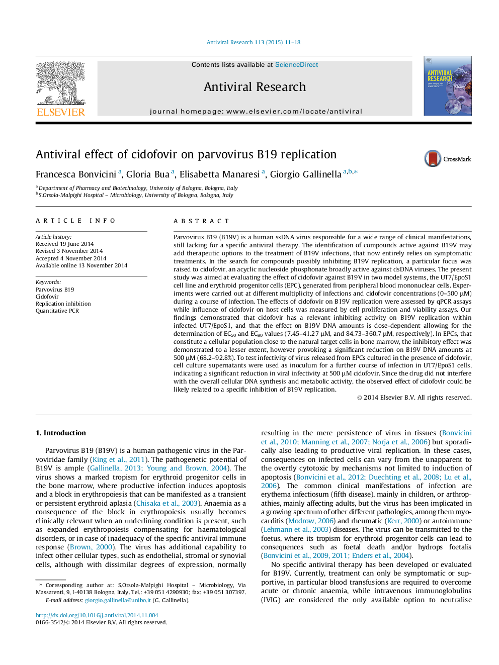 Antiviral effect of cidofovir on parvovirus B19 replication