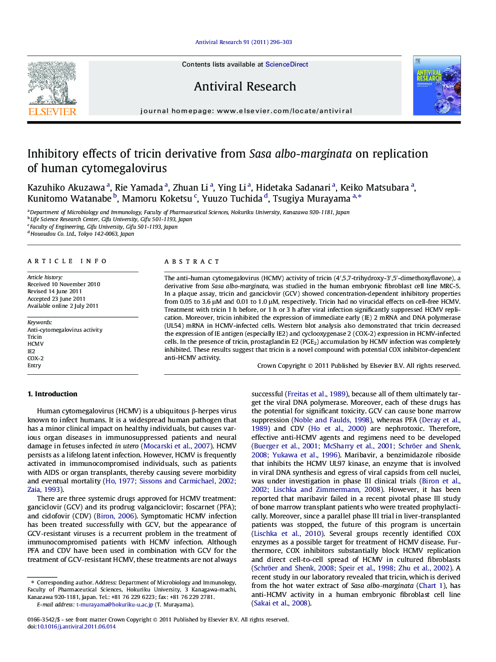 Inhibitory effects of tricin derivative from Sasa albo-marginata on replication of human cytomegalovirus