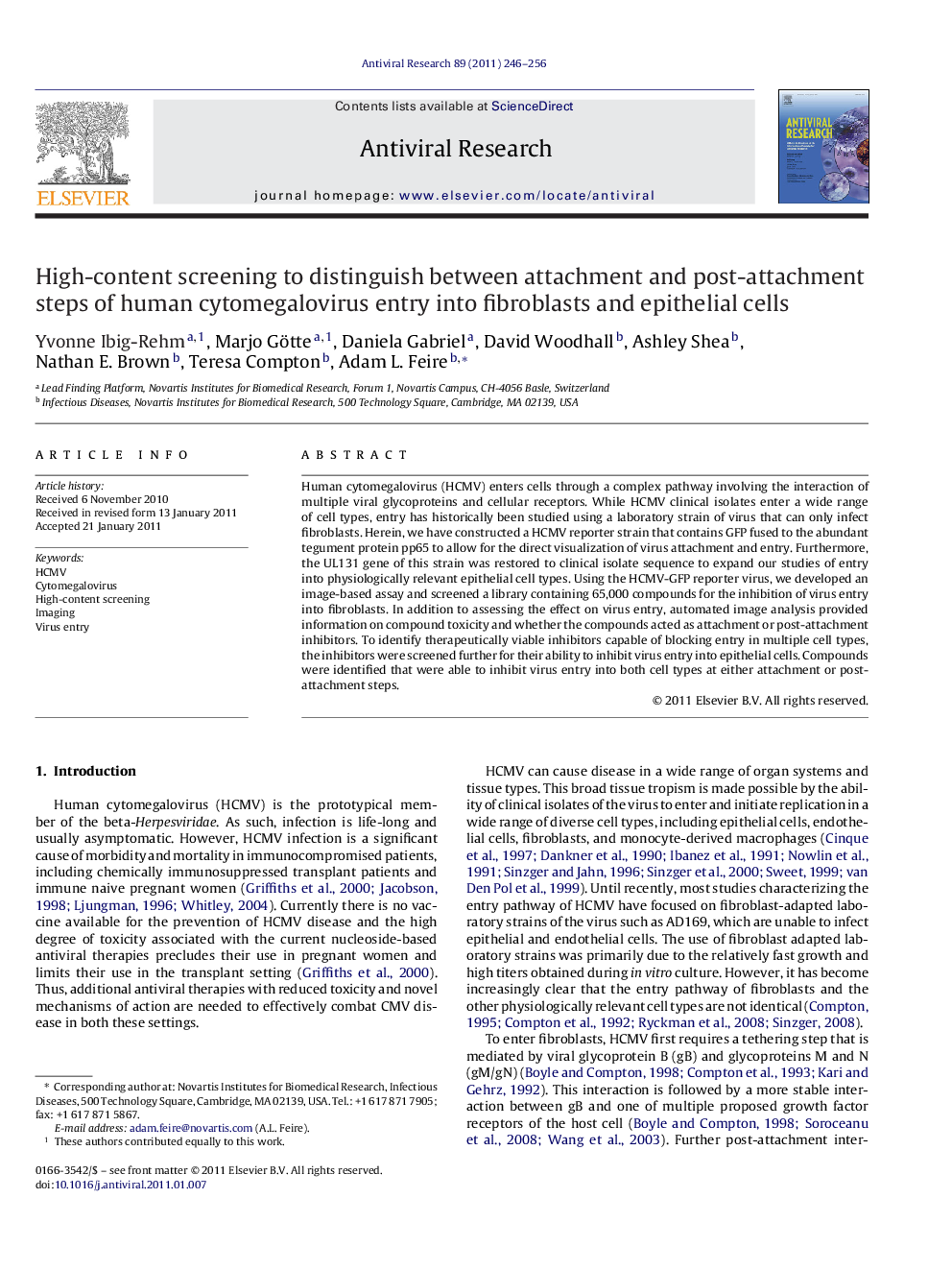 High-content screening to distinguish between attachment and post-attachment steps of human cytomegalovirus entry into fibroblasts and epithelial cells