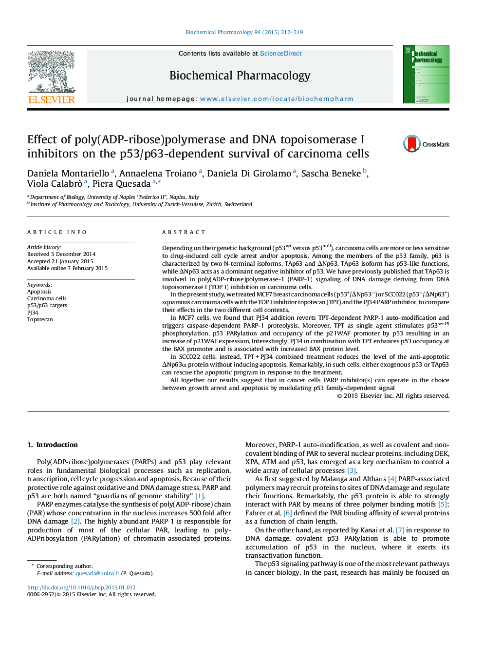 Effect of poly(ADP-ribose)polymerase and DNA topoisomerase I inhibitors on the p53/p63-dependent survival of carcinoma cells