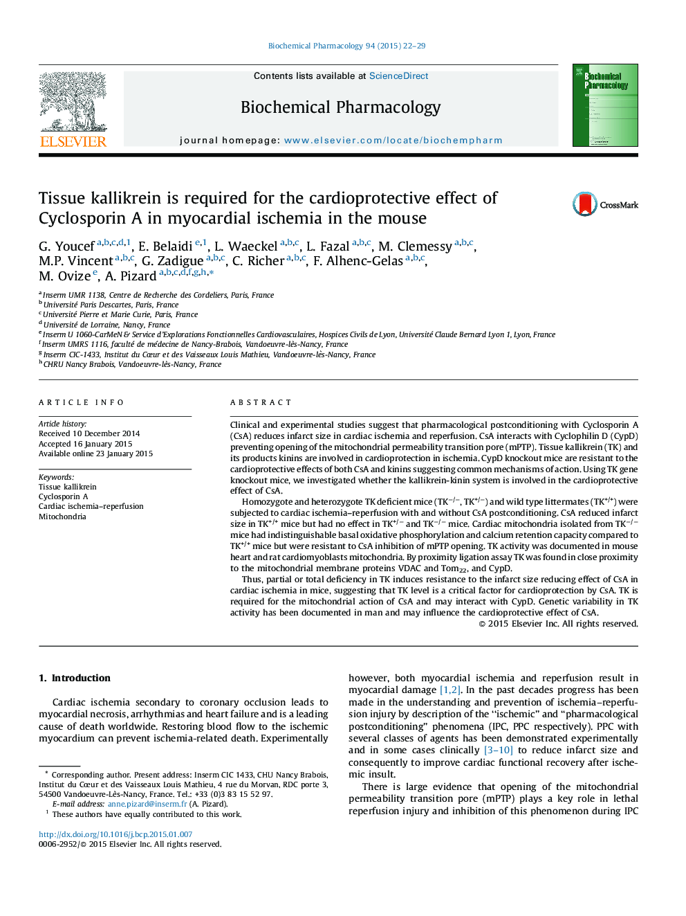 Tissue kallikrein is required for the cardioprotective effect of Cyclosporin A in myocardial ischemia in the mouse