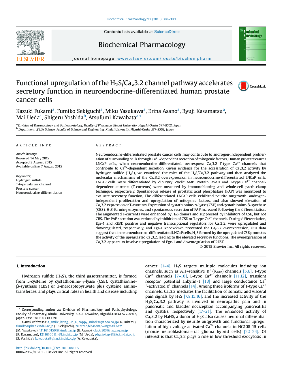 Functional upregulation of the H2S/Cav3.2 channel pathway accelerates secretory function in neuroendocrine-differentiated human prostate cancer cells