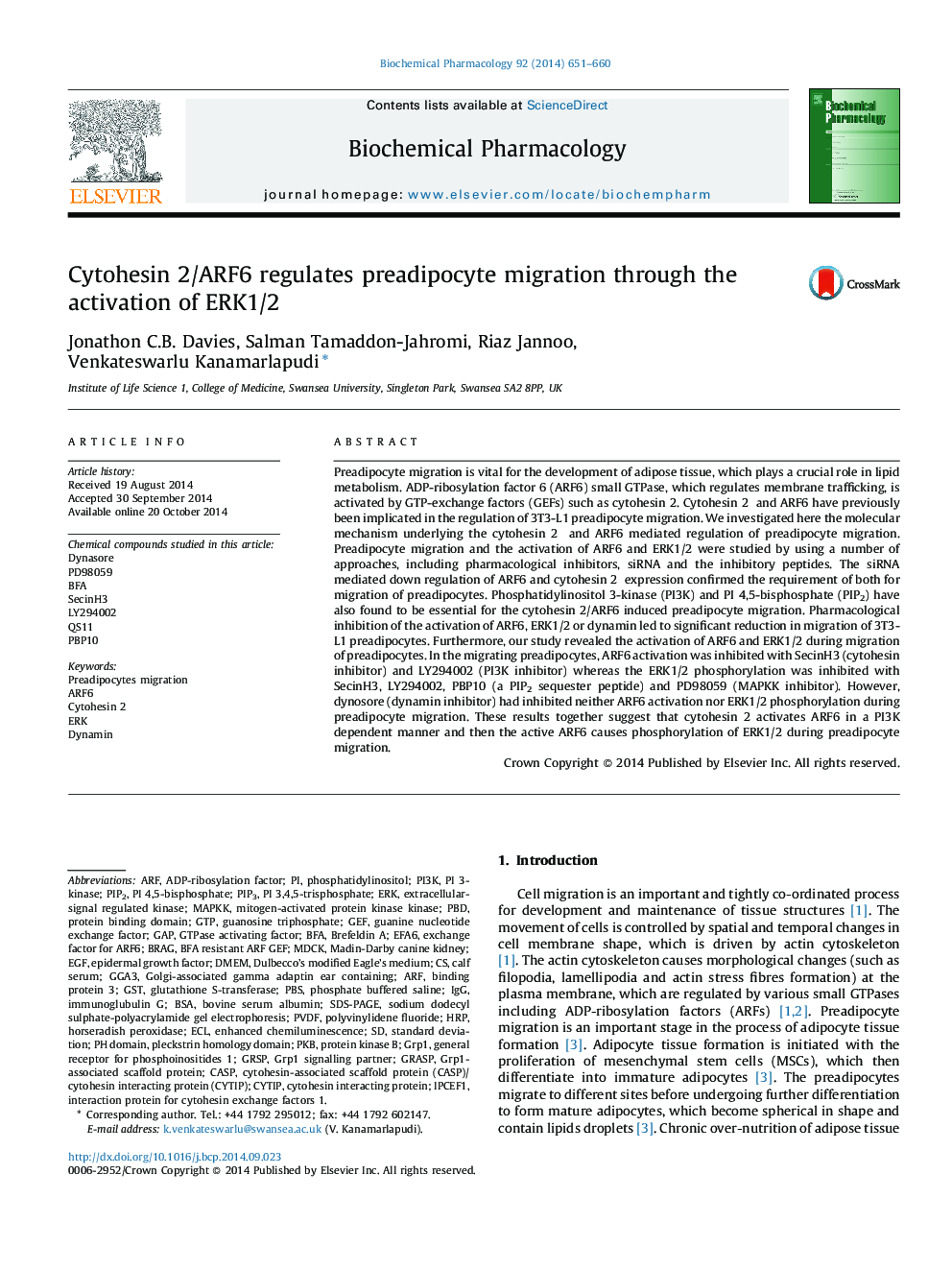 Cytohesin 2/ARF6 regulates preadipocyte migration through the activation of ERK1/2