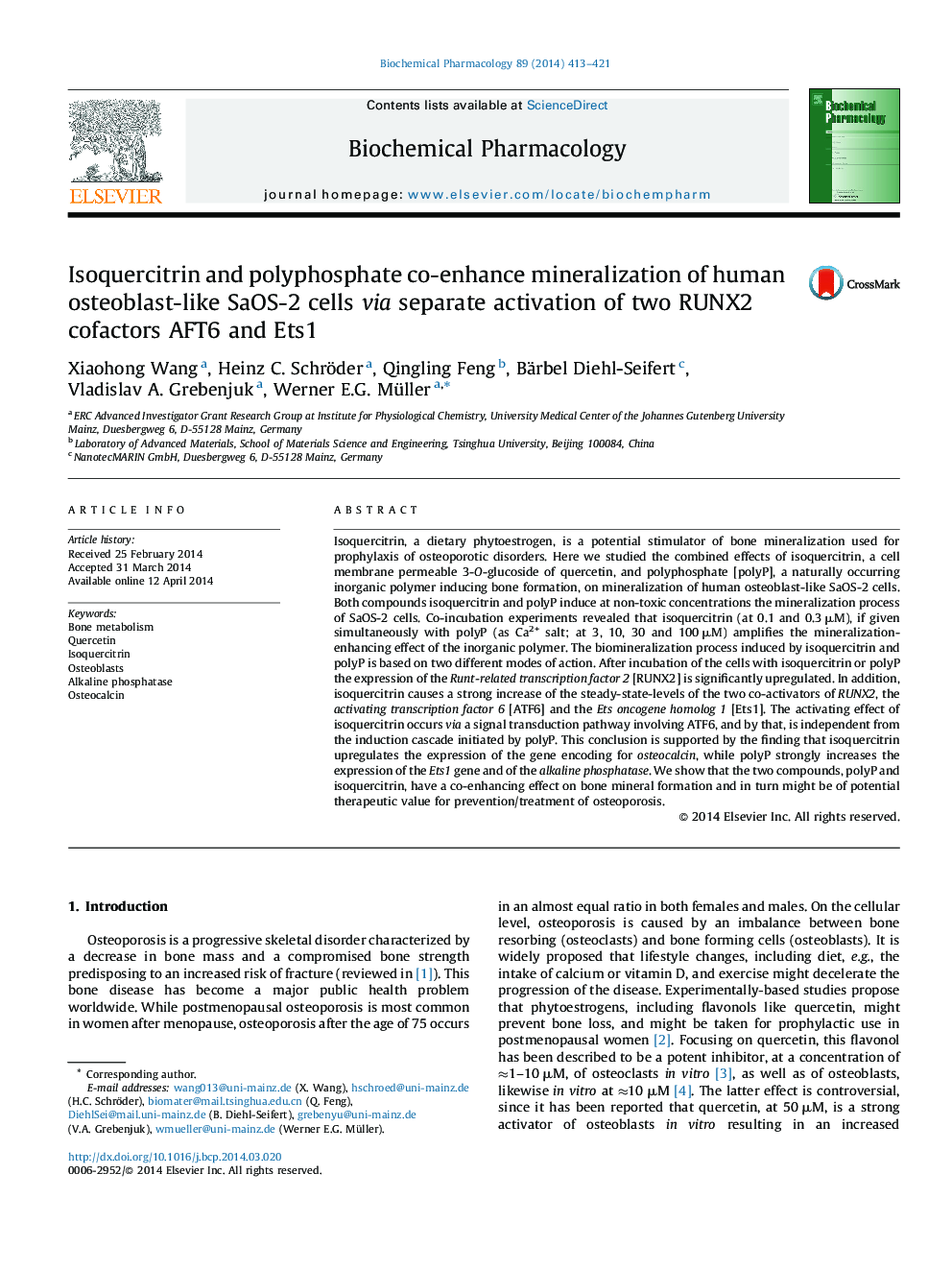 Isoquercitrin and polyphosphate co-enhance mineralization of human osteoblast-like SaOS-2 cells via separate activation of two RUNX2 cofactors AFT6 and Ets1