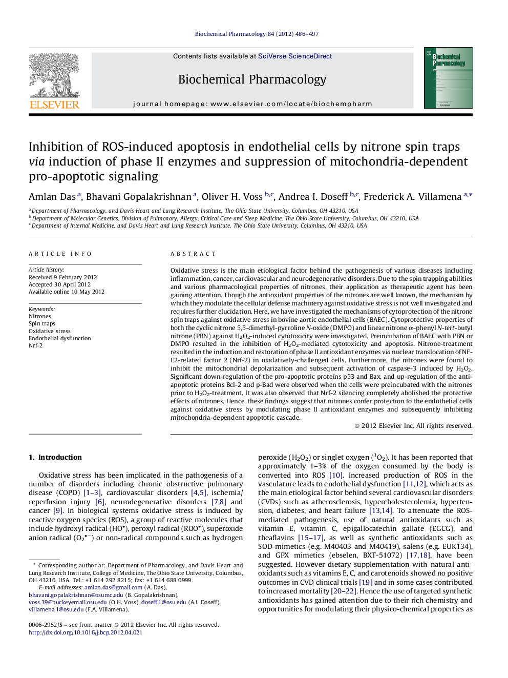 Inhibition of ROS-induced apoptosis in endothelial cells by nitrone spin traps via induction of phase II enzymes and suppression of mitochondria-dependent pro-apoptotic signaling