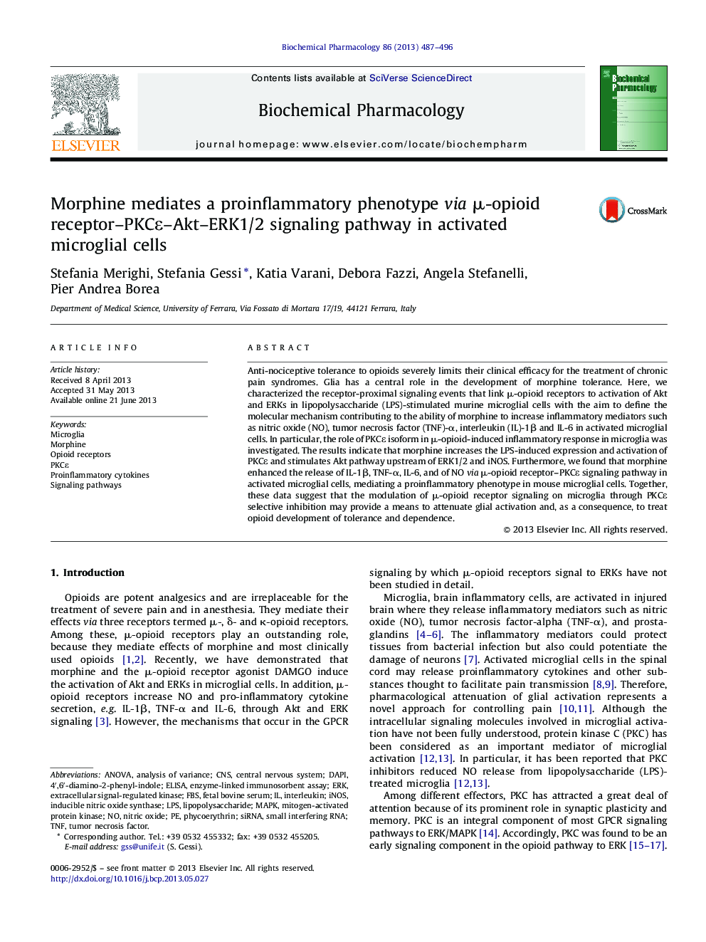 Morphine mediates a proinflammatory phenotype via μ-opioid receptor–PKCɛ–Akt–ERK1/2 signaling pathway in activated microglial cells