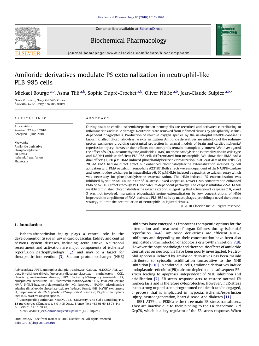 Amiloride derivatives modulate PS externalization in neutrophil-like PLB-985 cells