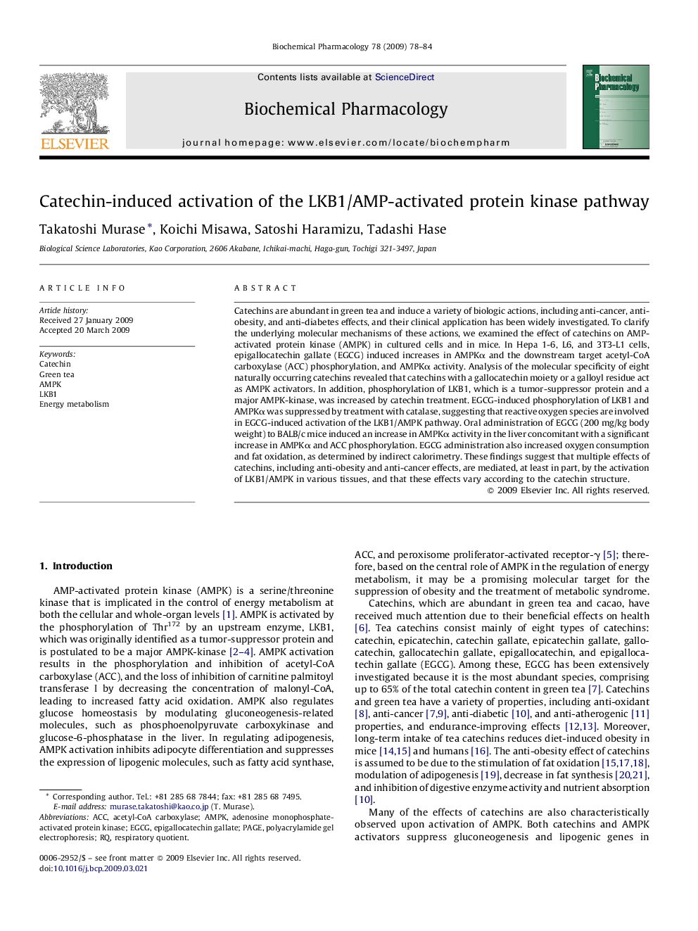 Catechin-induced activation of the LKB1/AMP-activated protein kinase pathway