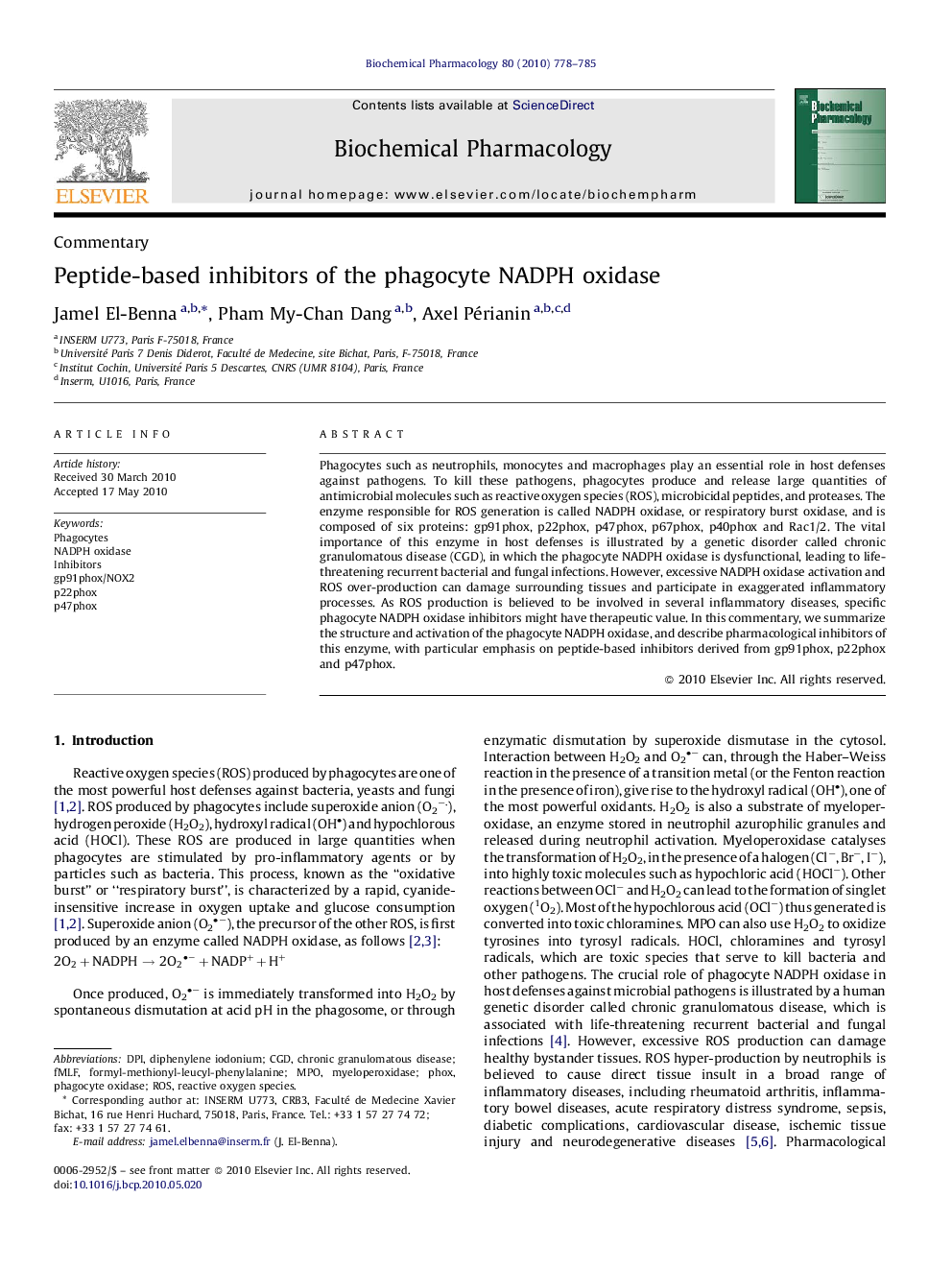Peptide-based inhibitors of the phagocyte NADPH oxidase