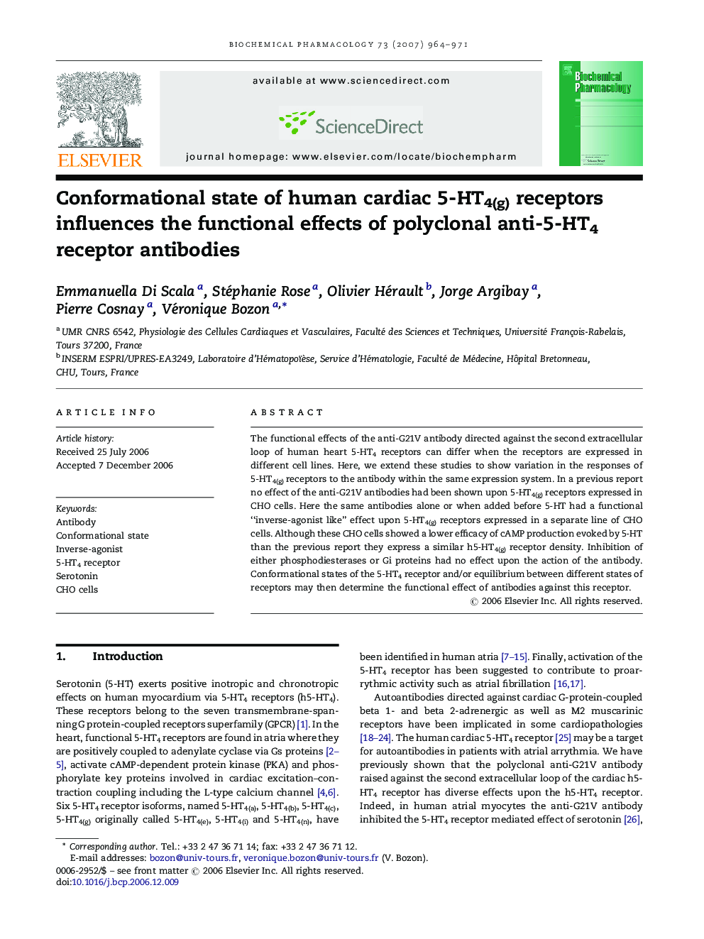 Conformational state of human cardiac 5-HT4(g) receptors influences the functional effects of polyclonal anti-5-HT4 receptor antibodies