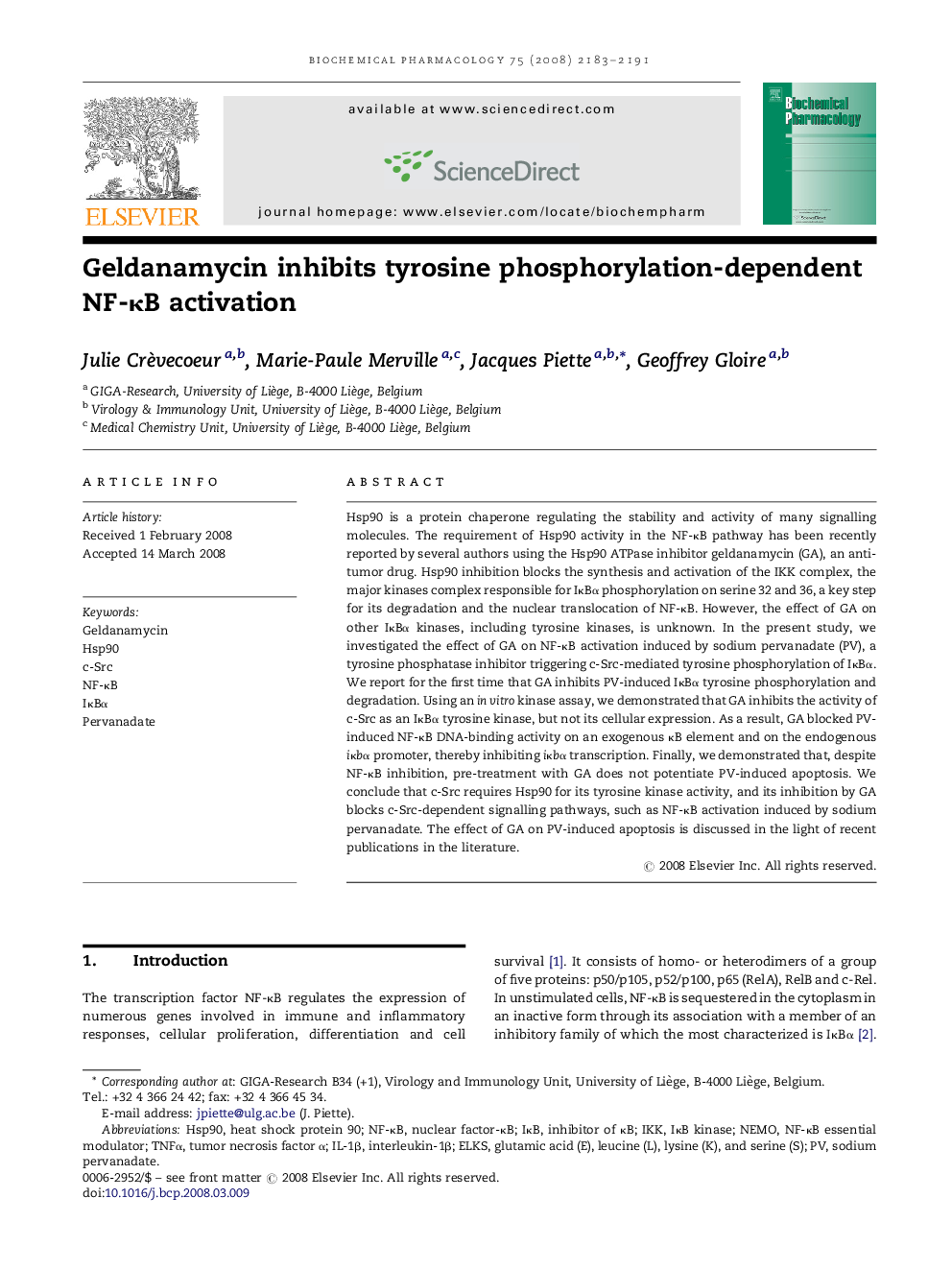 Geldanamycin inhibits tyrosine phosphorylation-dependent NF-κB activation