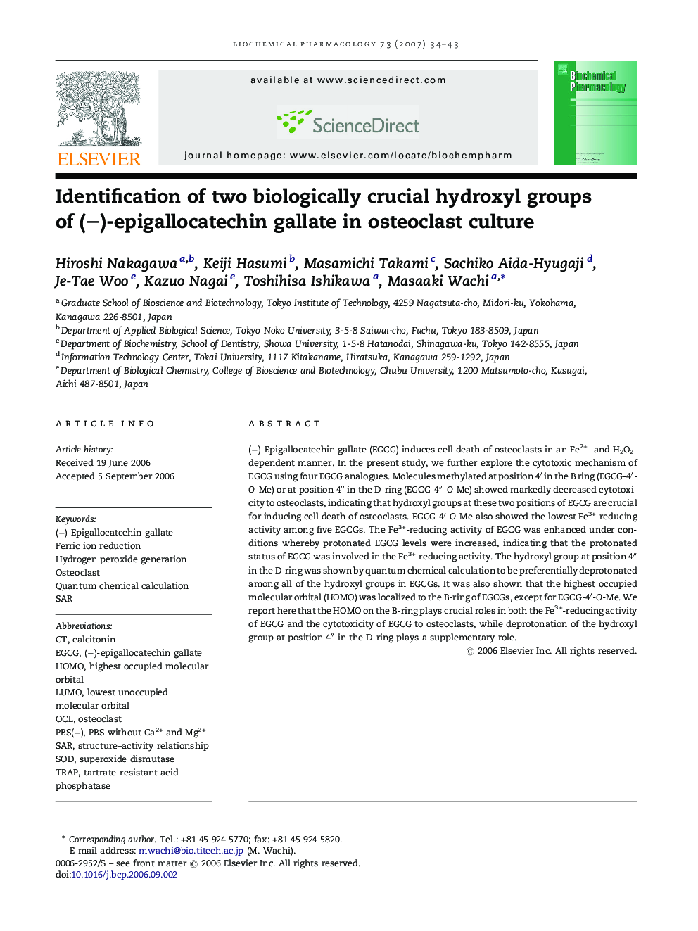 Identification of two biologically crucial hydroxyl groups of (−)-epigallocatechin gallate in osteoclast culture