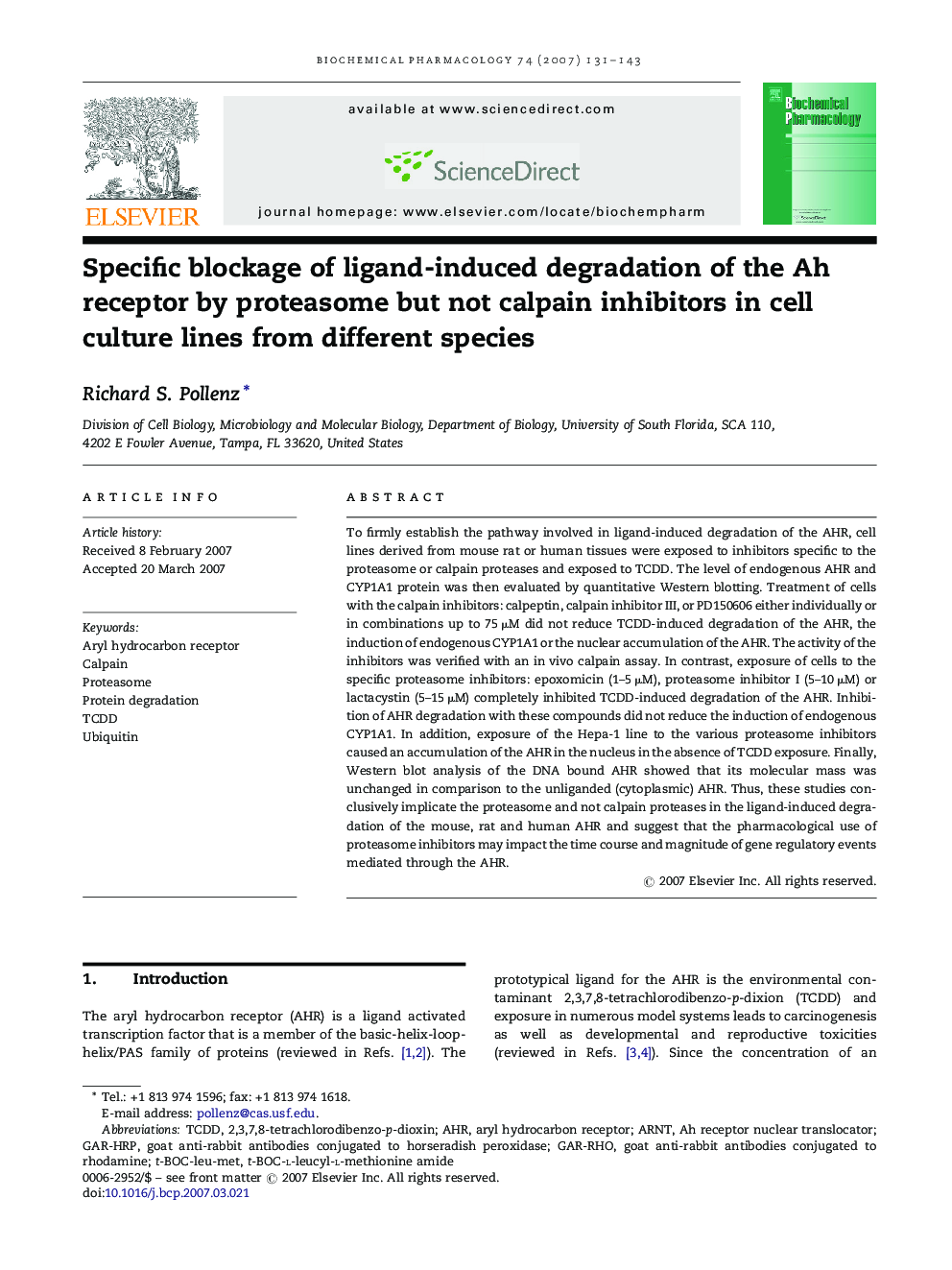 Specific blockage of ligand-induced degradation of the Ah receptor by proteasome but not calpain inhibitors in cell culture lines from different species