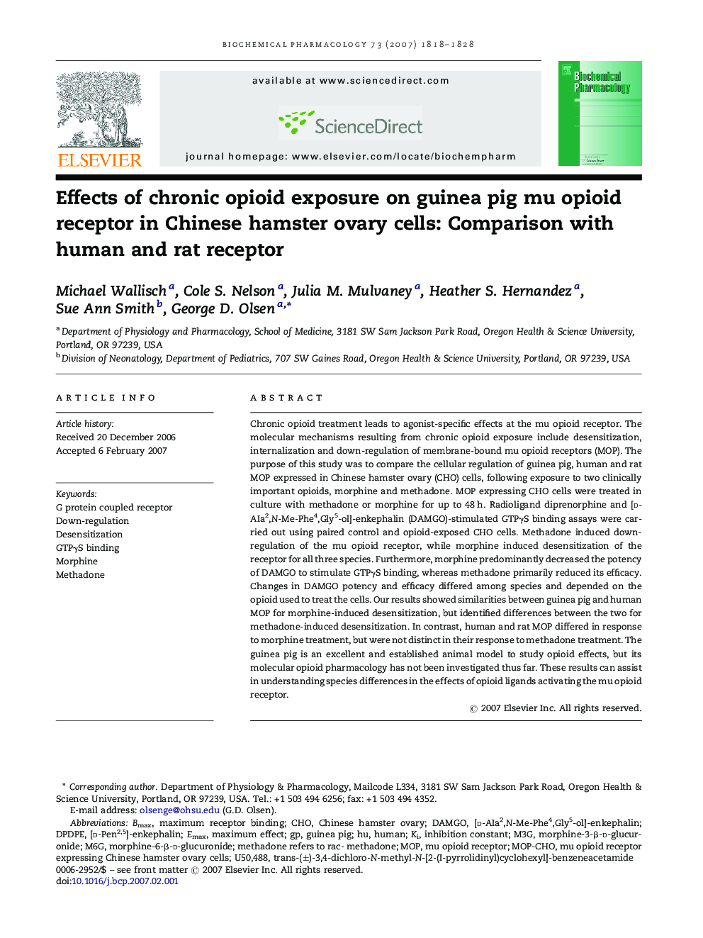 Effects of chronic opioid exposure on guinea pig mu opioid receptor in Chinese hamster ovary cells: Comparison with human and rat receptor