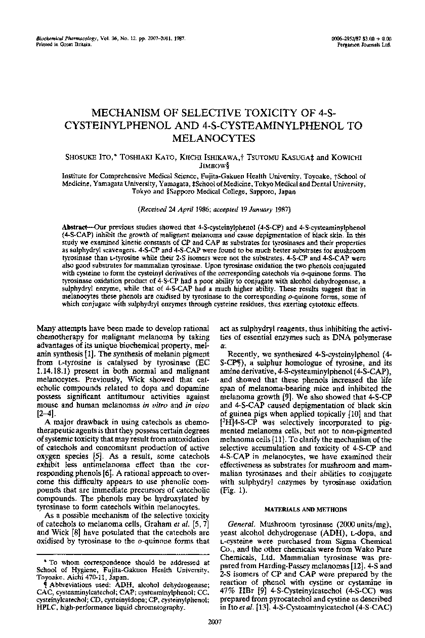 Mechanism of selective toxicity of 4-S-cysteinylphenol and 4-S-cysteaminylphenol to melanocytes