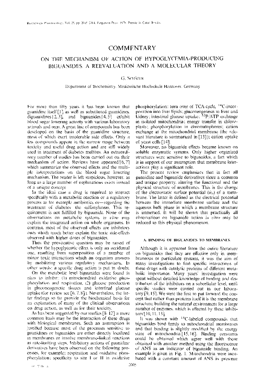 On the mechanism of action of hypoglycemia-producing biguanides. A reevaluation and a molecular theory