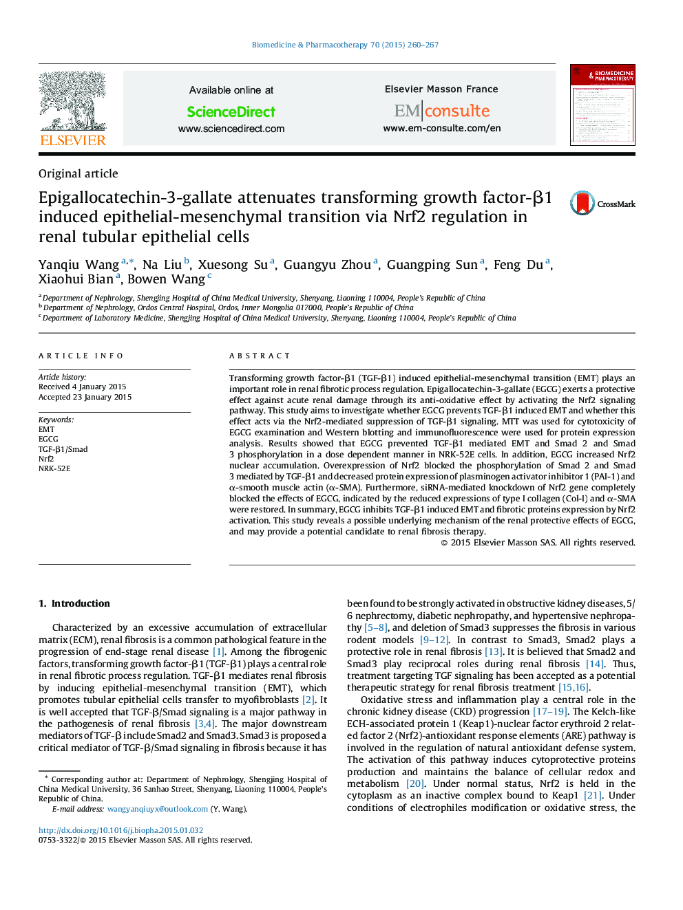 Epigallocatechin-3-gallate attenuates transforming growth factor-β1 induced epithelial-mesenchymal transition via Nrf2 regulation in renal tubular epithelial cells