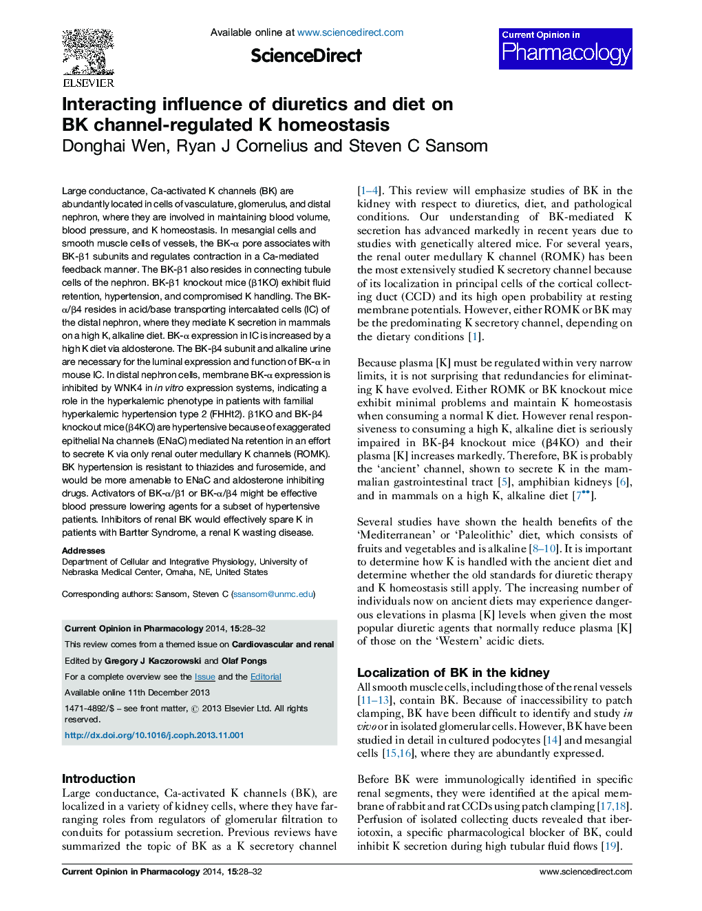 Interacting influence of diuretics and diet on BK channel-regulated K homeostasis