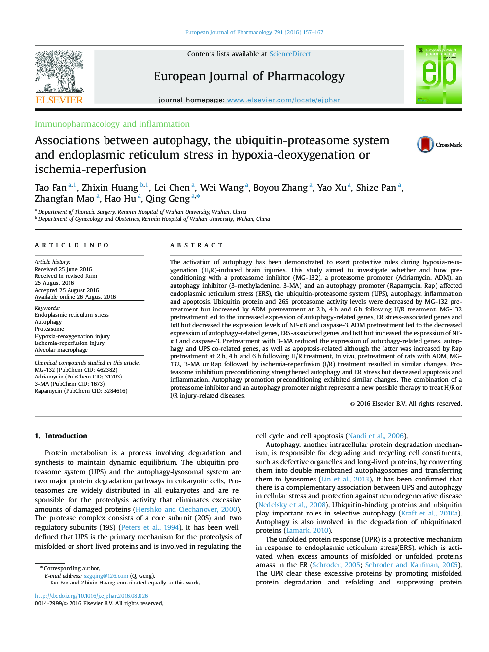 Associations between autophagy, the ubiquitin-proteasome system and endoplasmic reticulum stress in hypoxia-deoxygenation or ischemia-reperfusion