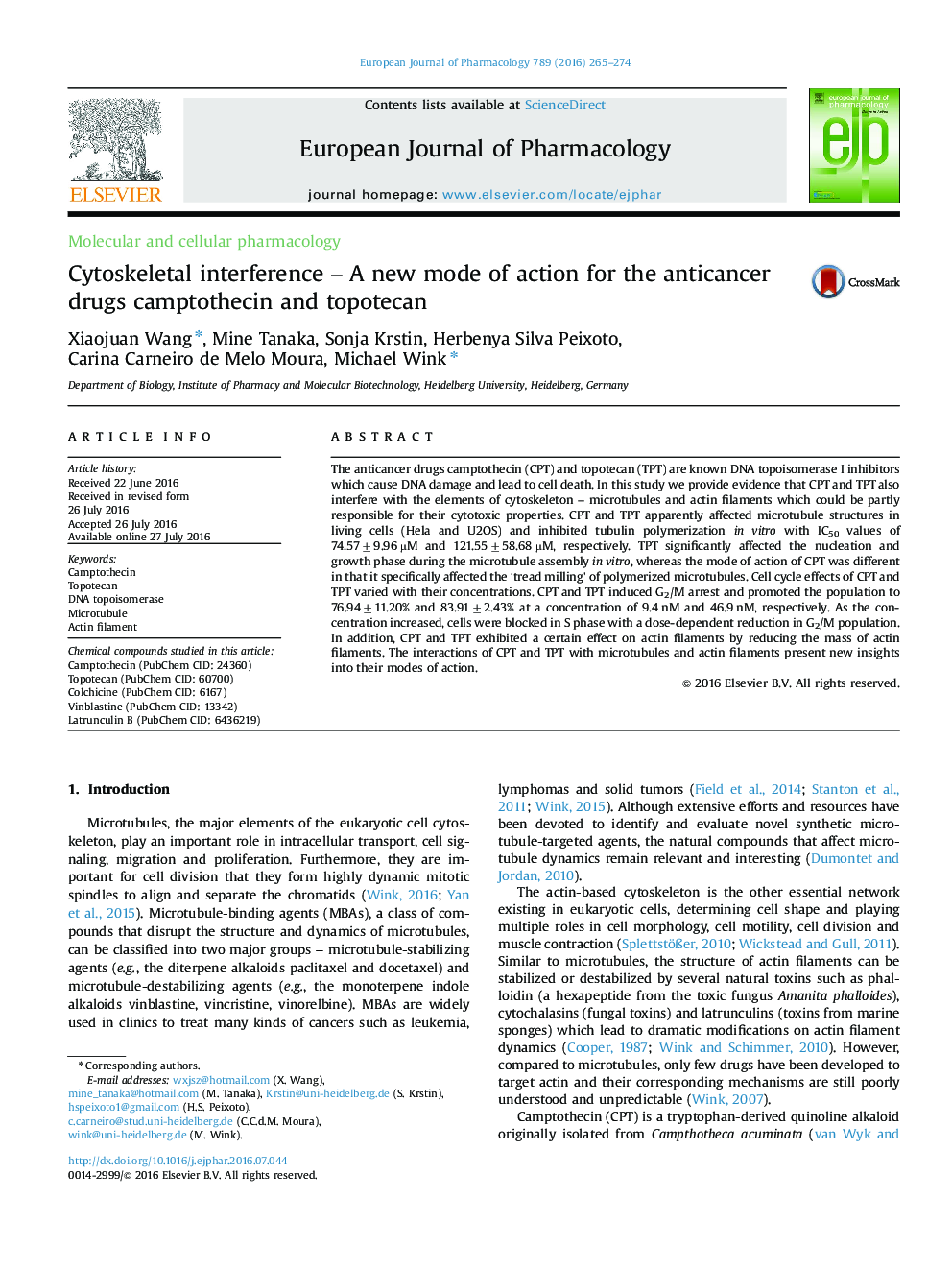 Cytoskeletal interference – A new mode of action for the anticancer drugs camptothecin and topotecan