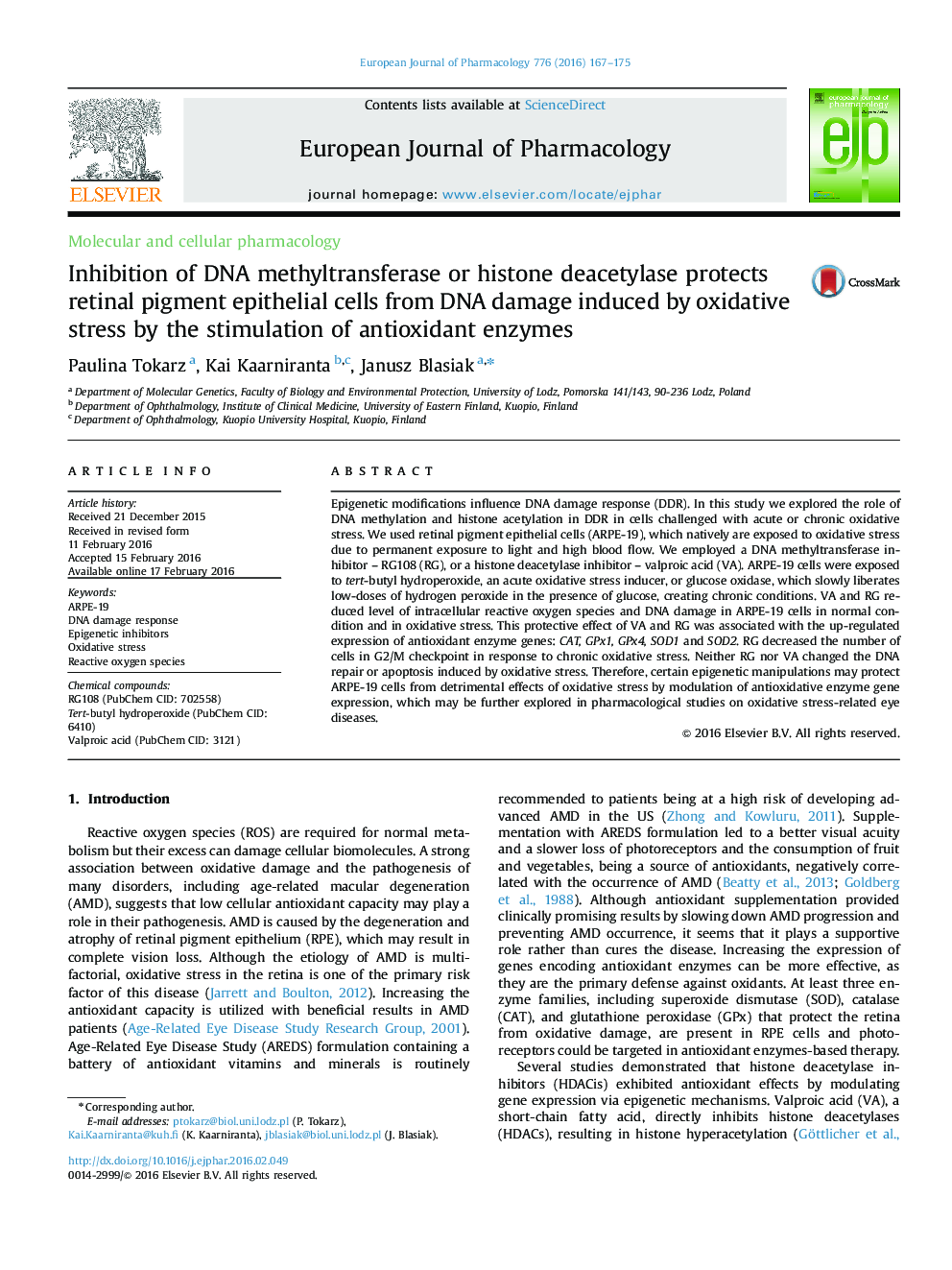 Inhibition of DNA methyltransferase or histone deacetylase protects retinal pigment epithelial cells from DNA damage induced by oxidative stress by the stimulation of antioxidant enzymes