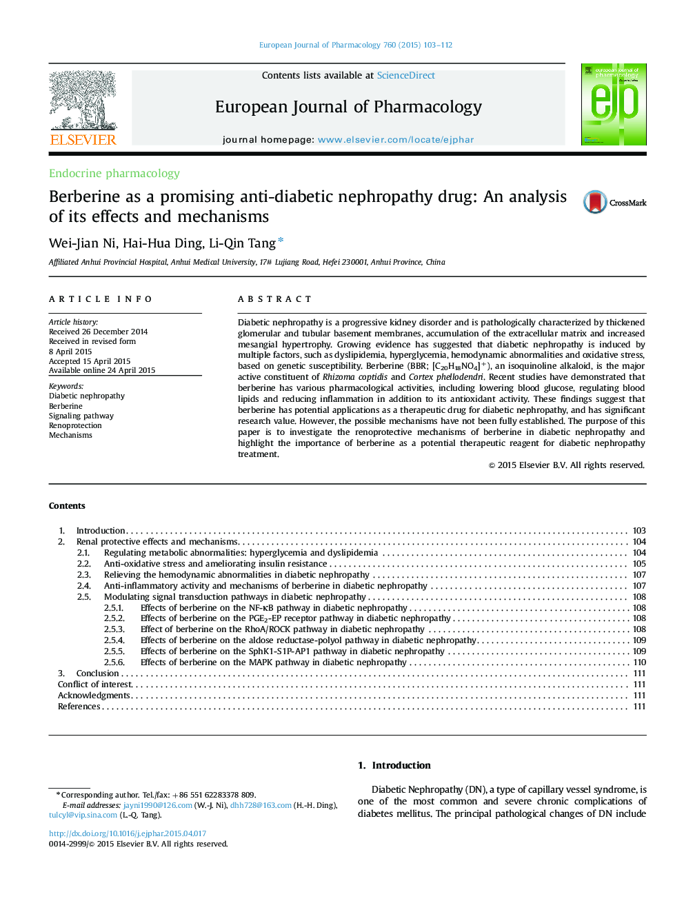 Berberine as a promising anti-diabetic nephropathy drug: An analysis of its effects and mechanisms