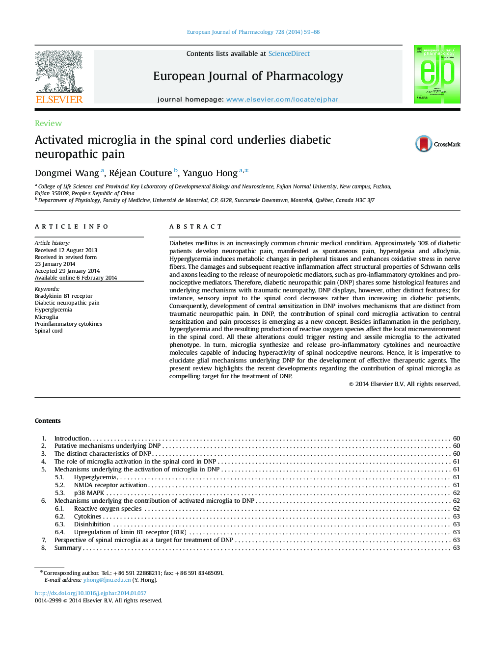 Activated microglia in the spinal cord underlies diabetic neuropathic pain